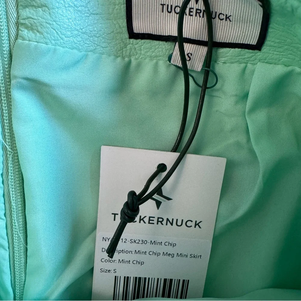 Tuckernuck Mint Chip Leather Mini Skirt - Picture 7 of 9